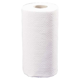 Rouleau papier essuie-mains - J288372 - Consommable - Consommable